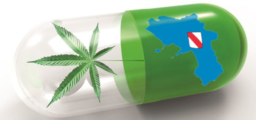 Campania e Cannabis terapeutica