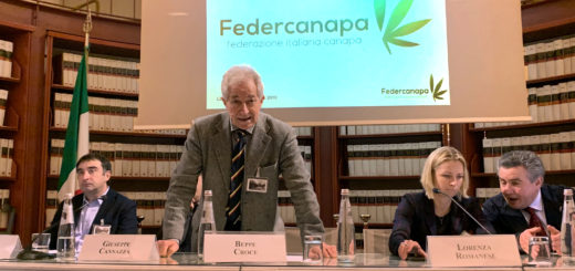 Federcanapa e la necessità di cambiare passo