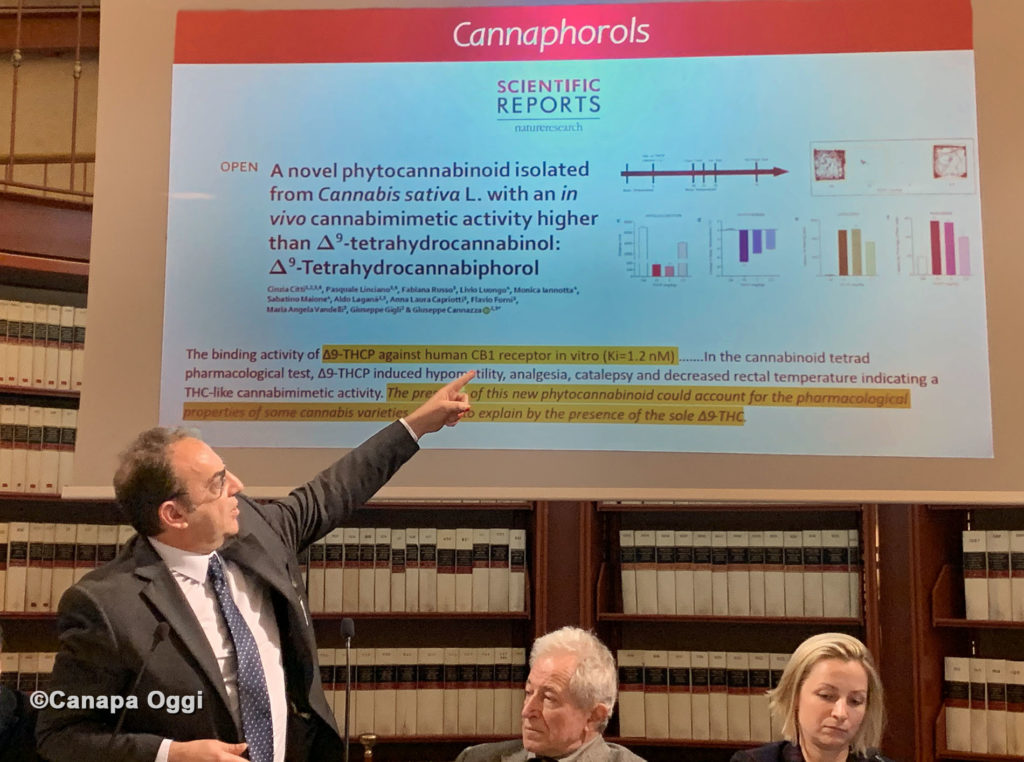 Federcanapa e la necessità di una svolta della politica nazionale sulla Canapa