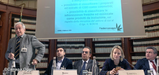 Federcanapa e la necessità di cambiare passo