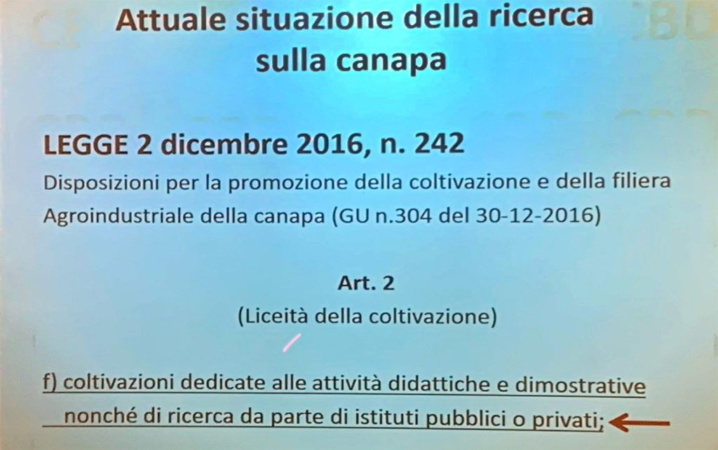 Federcanapa e la necessità di una svolta della politica nazionale sulla Canapa, dottor Gianpaolo Grassi del Crea-CRA di Rovigo