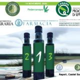 concorso nazionale per i migliori oli di Canapa