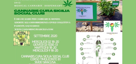 cannabis Cura Sicilia Social Club