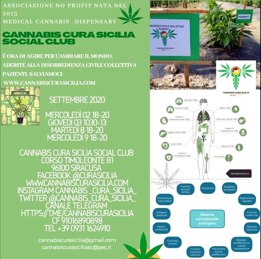 cannabis Cura Sicilia Social Club