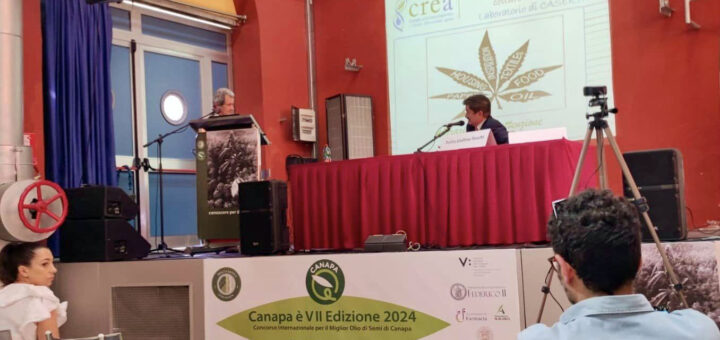 Migliore Olio di Semi di Canapa a Frattamaggiore Canapa è 2024